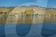 REPORTAGE - Genfersee Lac LÃ©man