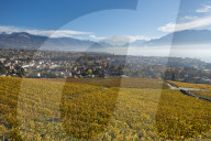 REPORTAGE - Waadt: Landschaften