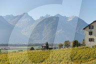 REPORTAGE - Waadt: Landschaften