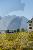 REPORTAGE - Waadt: Landschaften