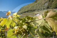 REPORTAGE - Waadt: Landschaften