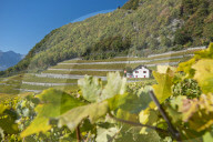 REPORTAGE - Waadt: Landschaften