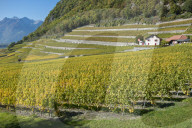 REPORTAGE - Waadt: Landschaften