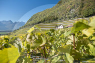 REPORTAGE - Waadt: Landschaften