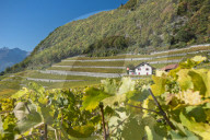REPORTAGE - Waadt: Landschaften