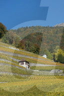 REPORTAGE - Waadt: Landschaften