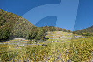REPORTAGE - Waadt: Landschaften