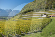 REPORTAGE - Waadt: Landschaften