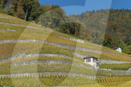 REPORTAGE - Waadt: Landschaften