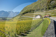 REPORTAGE - Waadt: Landschaften