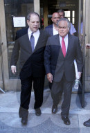 FEATURE - Pix of the Day: Bilder des Tages