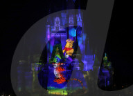 FEATURE - Pix of the Day: Bilder des Tages