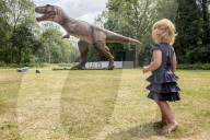 FEATURE - Pix of the Day: Bilder des Tages