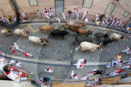 FEATURE - Pix of the Day: Bilder des Tages