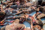 FEATURE - Pix of the Day: Bilder des Tages