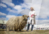 FEATURE - Impressionen von der Great Yorkshire Landwirtschafts-Show