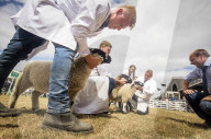 FEATURE - Impressionen von der Great Yorkshire Landwirtschafts-Show