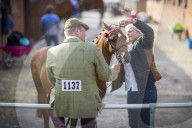 FEATURE - Impressionen von der Great Yorkshire Landwirtschafts-Show