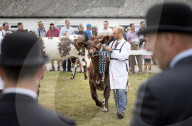 FEATURE - Impressionen von der Great Yorkshire Landwirtschafts-Show