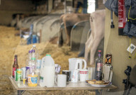 FEATURE - Impressionen von der Great Yorkshire Landwirtschafts-Show