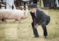 FEATURE - Impressionen von der Great Yorkshire Landwirtschafts-Show