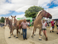 FEATURE - Impressionen von der Great Yorkshire Landwirtschafts-Show