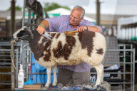 FEATURE - Impressionen von der Great Yorkshire Landwirtschafts-Show