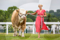 FEATURE - Impressionen von der Great Yorkshire Landwirtschafts-Show