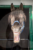 FEATURE - Pix of the Day: Bilder des Tages