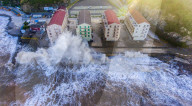 FEATURE - Pix of the Day: Bilder des Tages