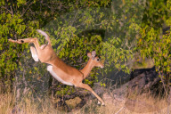 FEATURE - Pix of the Day: Bilder des Tages