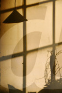 Shadows on a Wall 