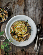 Servietten-Knödel mit Pilzragout, Dumplings with mushroom ragout