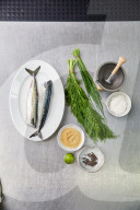 Step Gebeizte Makrele, Step Stained mackerel