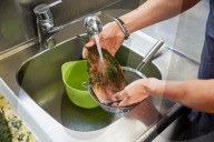 Step Gebeizte Makrele, Step Stained mackerel