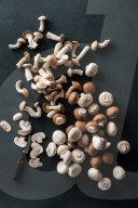 Frische Pilze, Fresh mushrooms