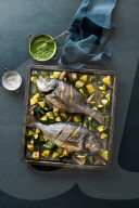 Dorade mit Zucchini und Mojo verde, Dorade with zucchini and mojo verde