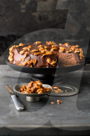 Schokoladen-Cheesecake mit karamellisierten Erdnüssen, Chocolate cheesecake with caramelized peanuts