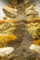 Spice shop - Gewürzmühle Engels