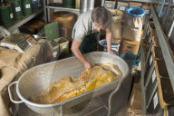 Spice shop - Gewürzmühle Engels