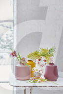 Vases
