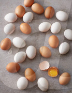 Eier, Eggs