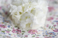 Guelder Rose as Table Decoration