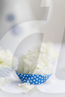 Guelder Rose as Table Decoration