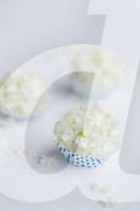 Guelder Rose as Table Decoration