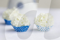 Guelder Rose as Table Decoration