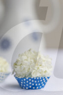 Guelder Rose as Table Decoration