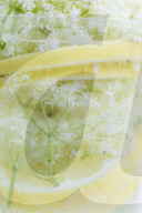 Water with Elderflowers and Lemon