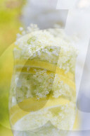 Water with Elderflowers and Lemon