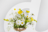 Bouquet of Daisies and Buttercups